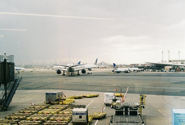 Comment choisir une croisière avec des excursions écotouristiques certifiées dans la Caraïbe?