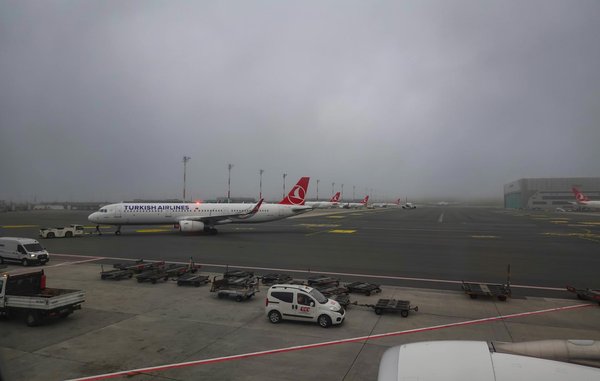 Peut-on organiser une croisière qui offre une expérience de bénévolat dans des refuges pour animaux exotiques?