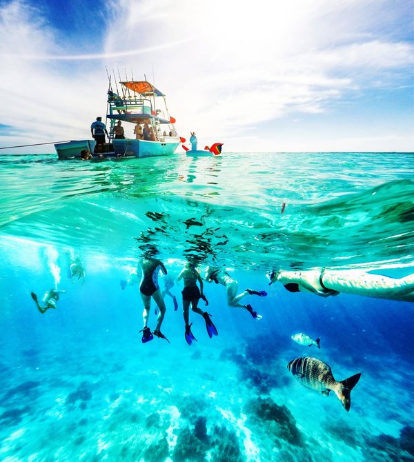 Comment organiser une excursion culinaire pour goûter aux spécialités de rue à Bangkok ?